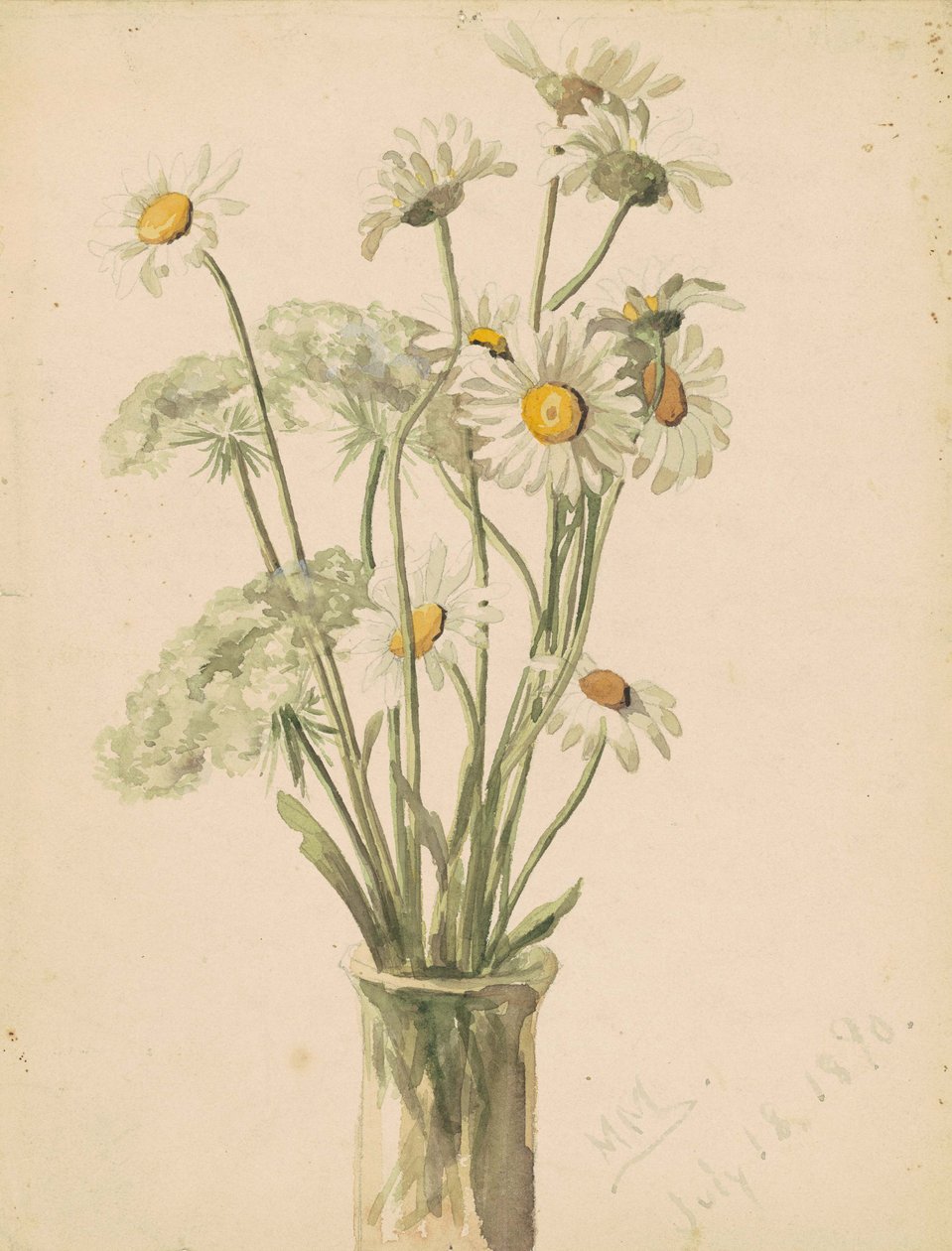 Daisies e Queen Anns Lace em um vaso, 1890 (aguarela e grafite em papel wove) de Marietta Minnegerode Andrews
