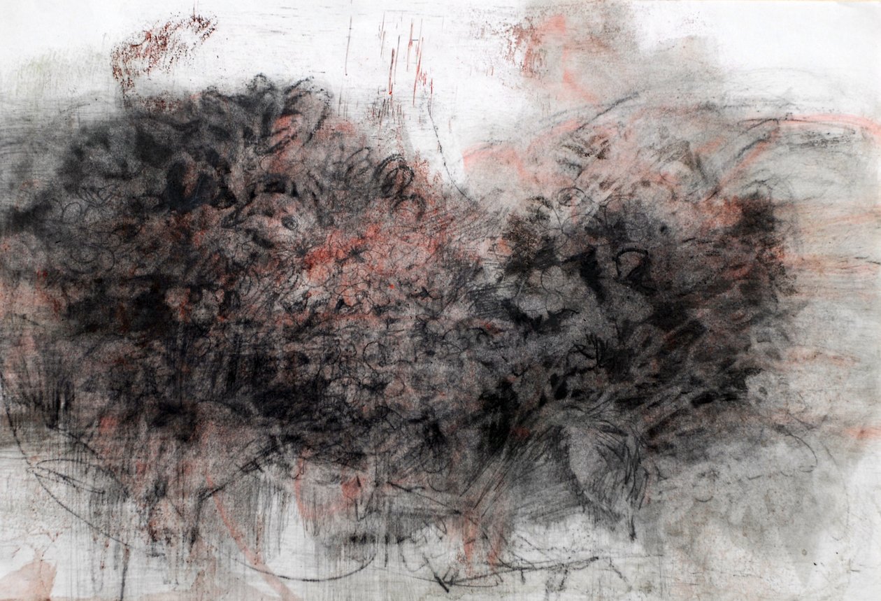 Hortênsias, 2023 (óleo sobre papel) de Marina Falco