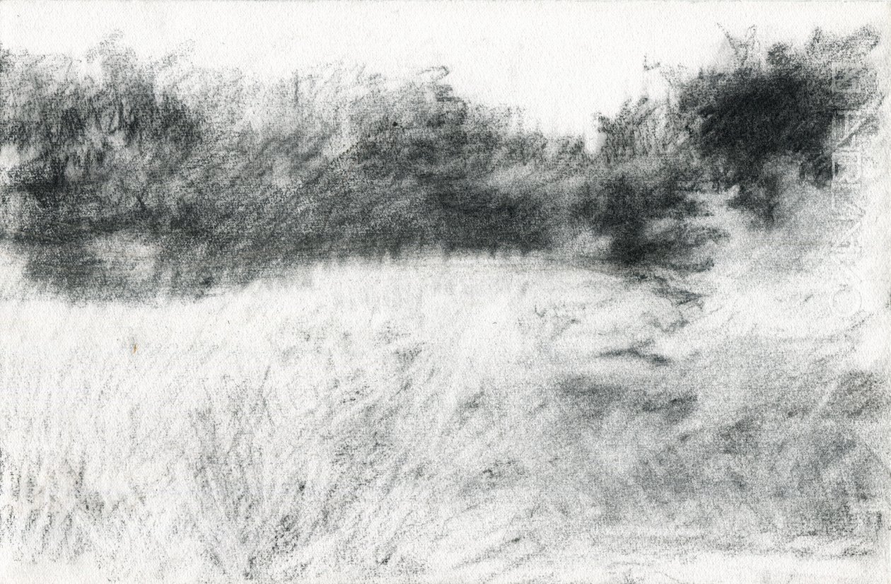 Paisagem, 2021 (carvão sobre papel) de Marina Falco
