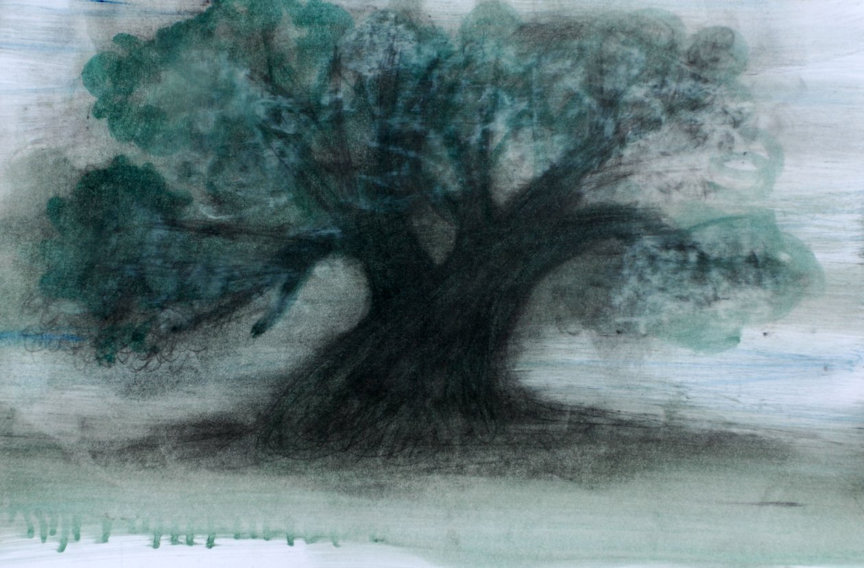Olive Tree, 2023 (óleo e carvão sobre papel) de Marina Falco