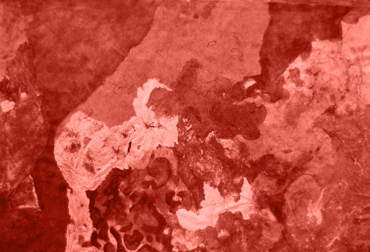 Padrão 16 (ficheiro digital) de Marina Falco