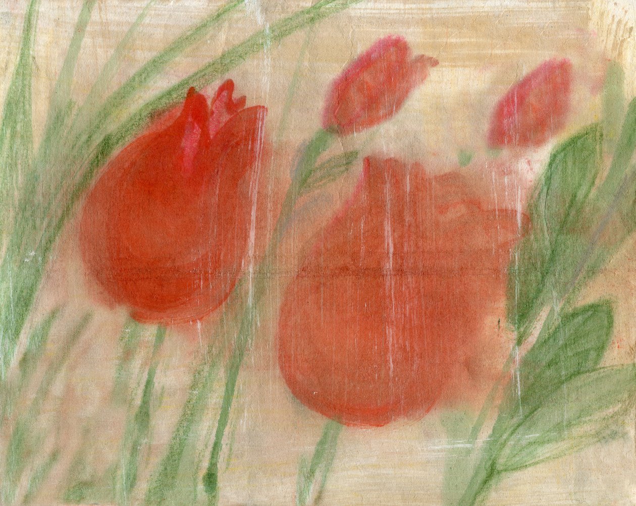 Tulipas vermelhas de Marina Falco