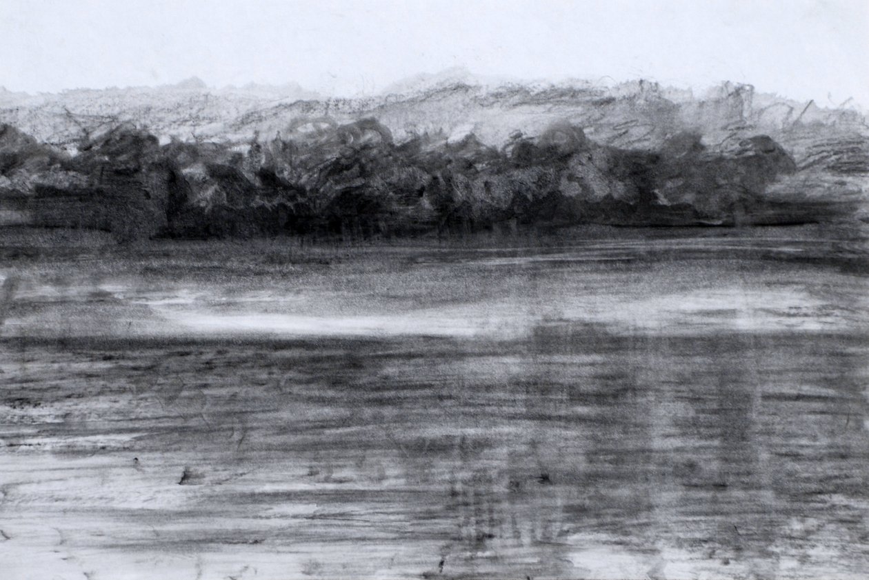 O Lago, 2023 (óleo e carvão sobre papel) de Marina Falco