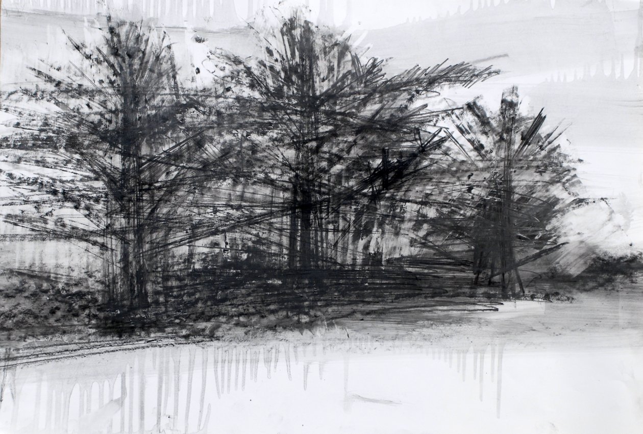 Árvores, 2023 (óleo e carvão sobre papel) de Marina Falco