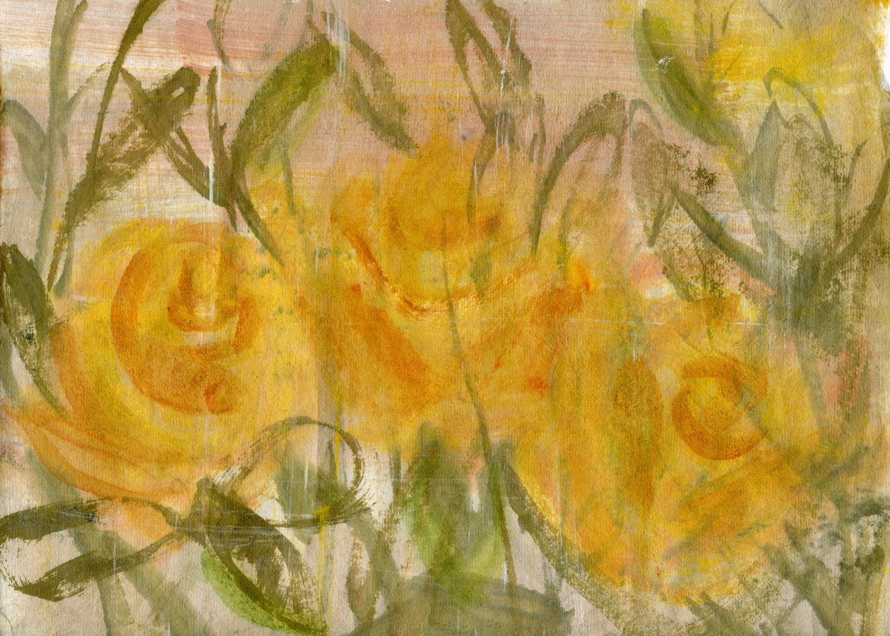 Rosas amarelas de Marina Falco