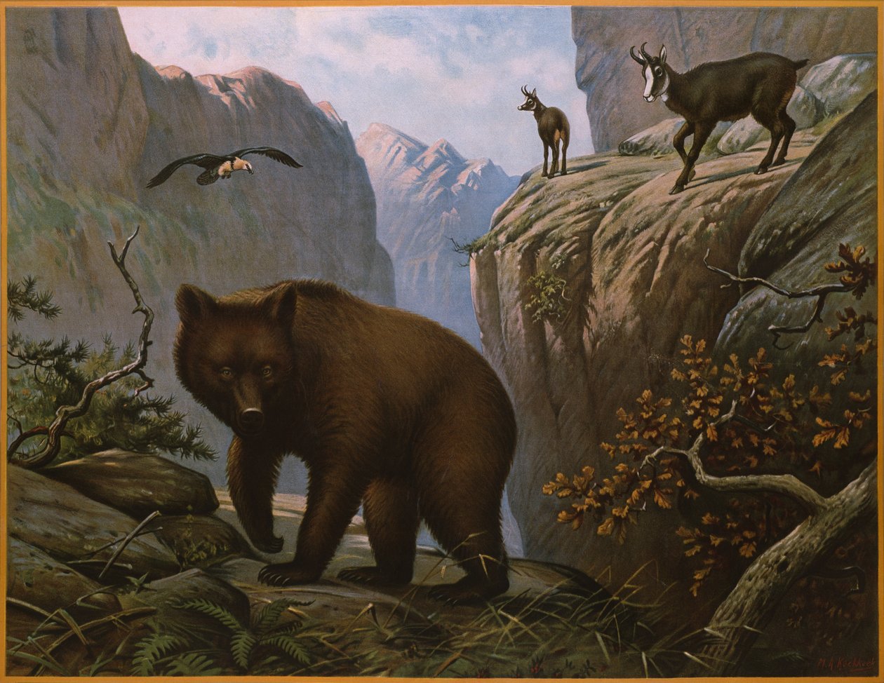 Animais selvagens que vivem nos Alpes de Marinus Adrianus Koekkoek