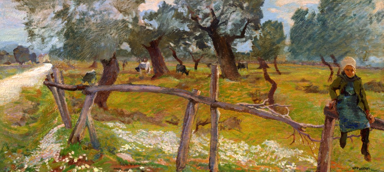 Olive Grove com camponês de Mario Puccini