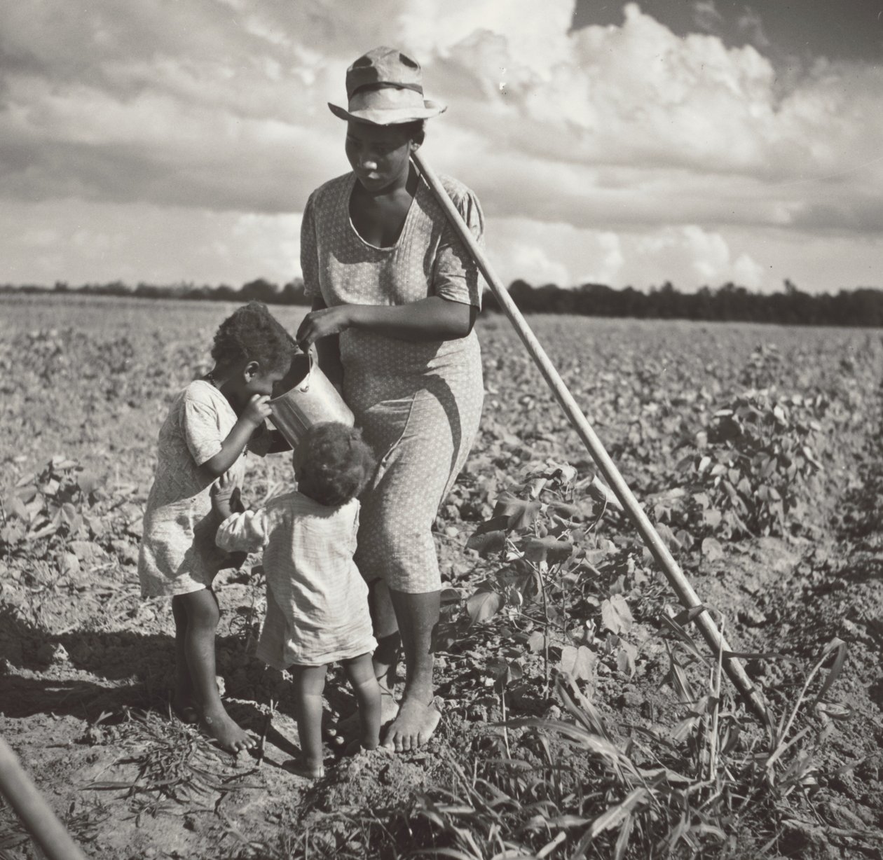 Mulher negra a dar de beber aos filhos no campo onde está a sachar algodão num projeto cooperativo da FSA (Allen Plantation) de Marion Post Wolcott