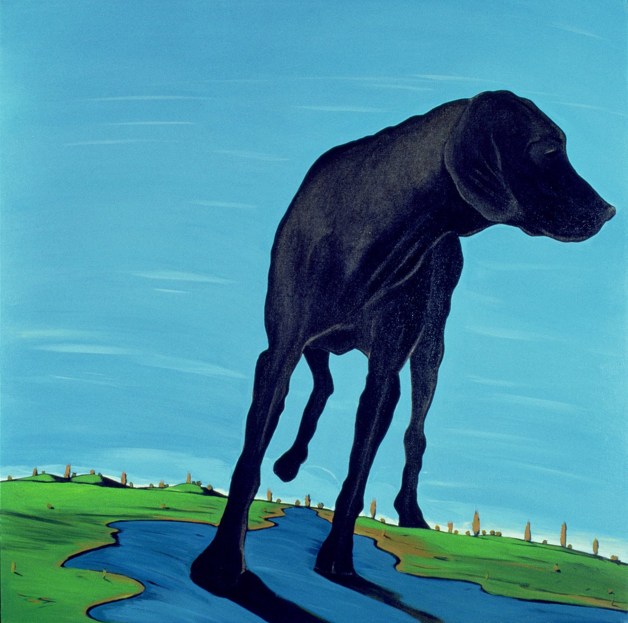 Joes Black Dog (nova visão), 2000 (acrílico sobre tela) de Marjorie Weiss