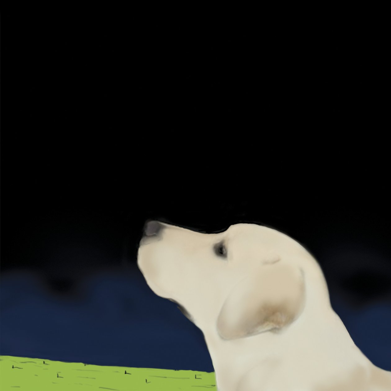 Perfil do Cão Amarelo, 2008 (acrílico sobre tela) de Marjorie Weiss