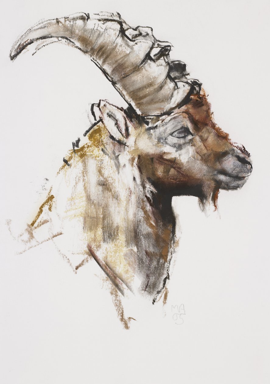 Giovanotto, 2005 (carvão e conte no papel) de Mark Adlington