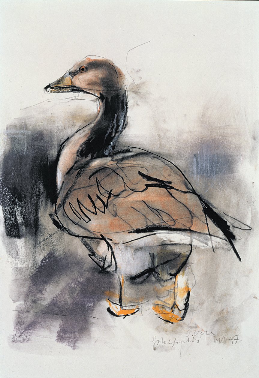 Spitalfields Goose, 1997 (grafite e conte no papel) de Mark Adlington