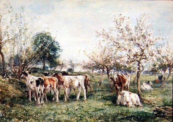 Bezerros em um pomar de cerejeiras de Mark Fisher
