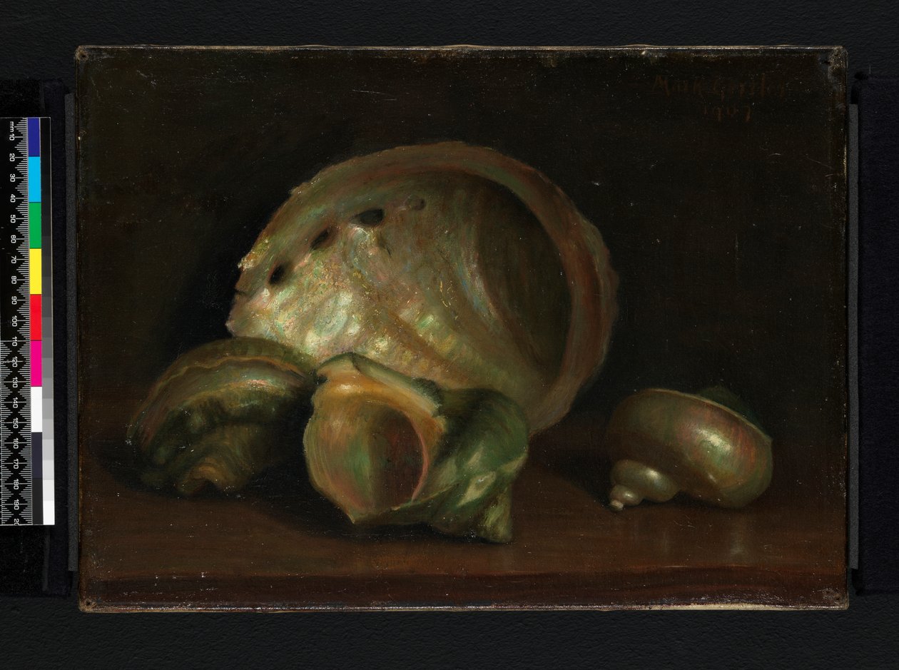 Conchas do mar, 1907 de Mark Gertler