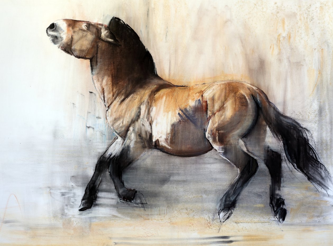Ancient Horse (Przewalski no inverno), 2014 de Mark Adlington
