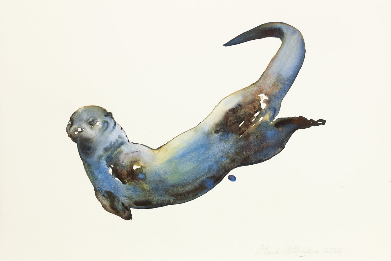 Aqua, 2014, (aguarela sobre papel) de Mark Adlington
