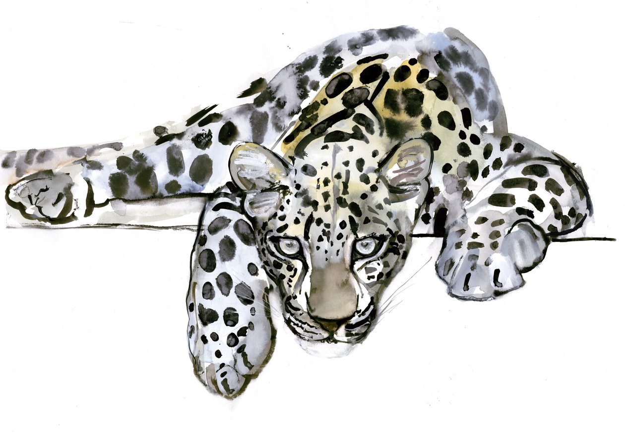 Leopardo Árabe, 2008 de Mark Adlington