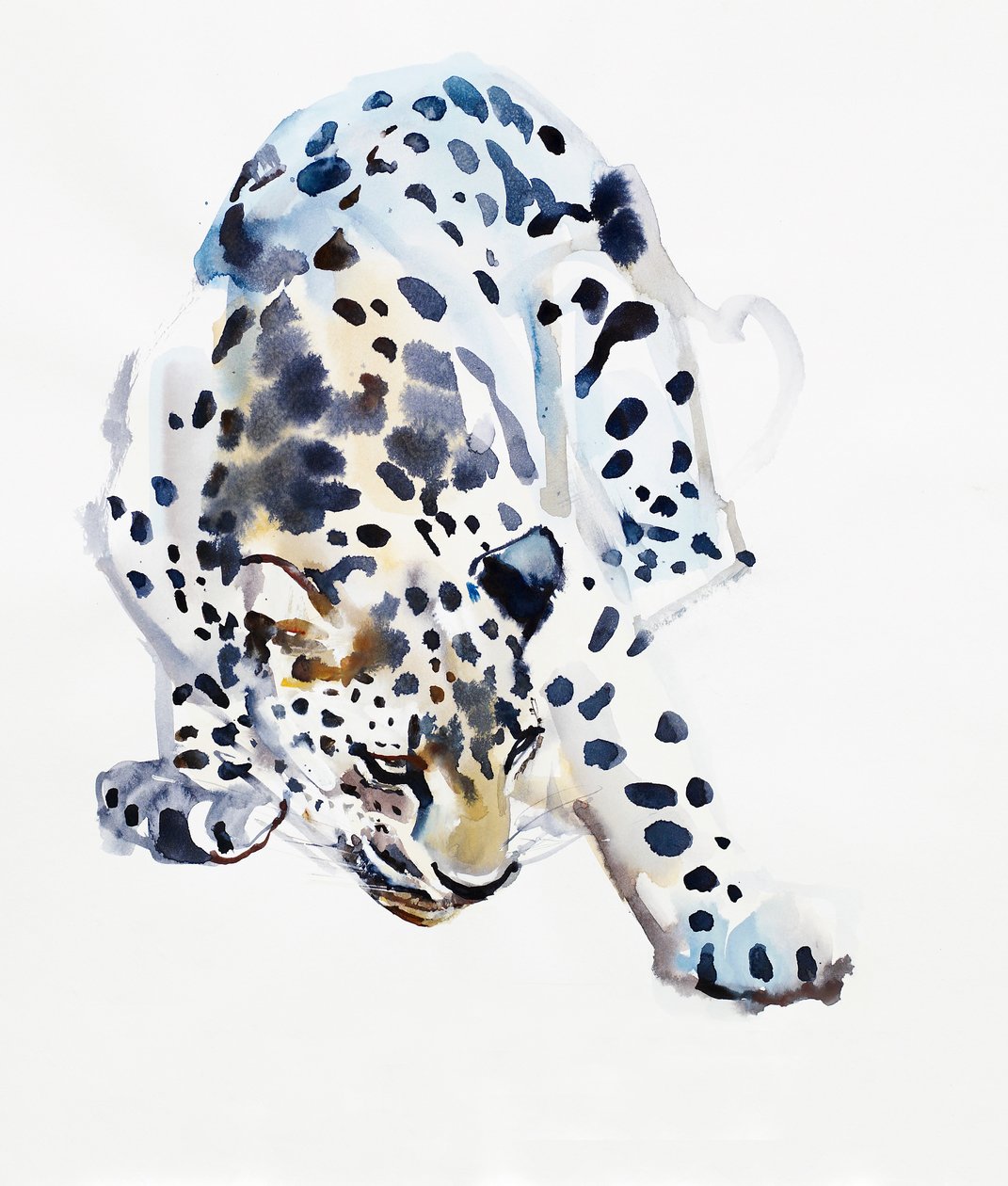 Leopardo Árabe, 2008 de Mark Adlington