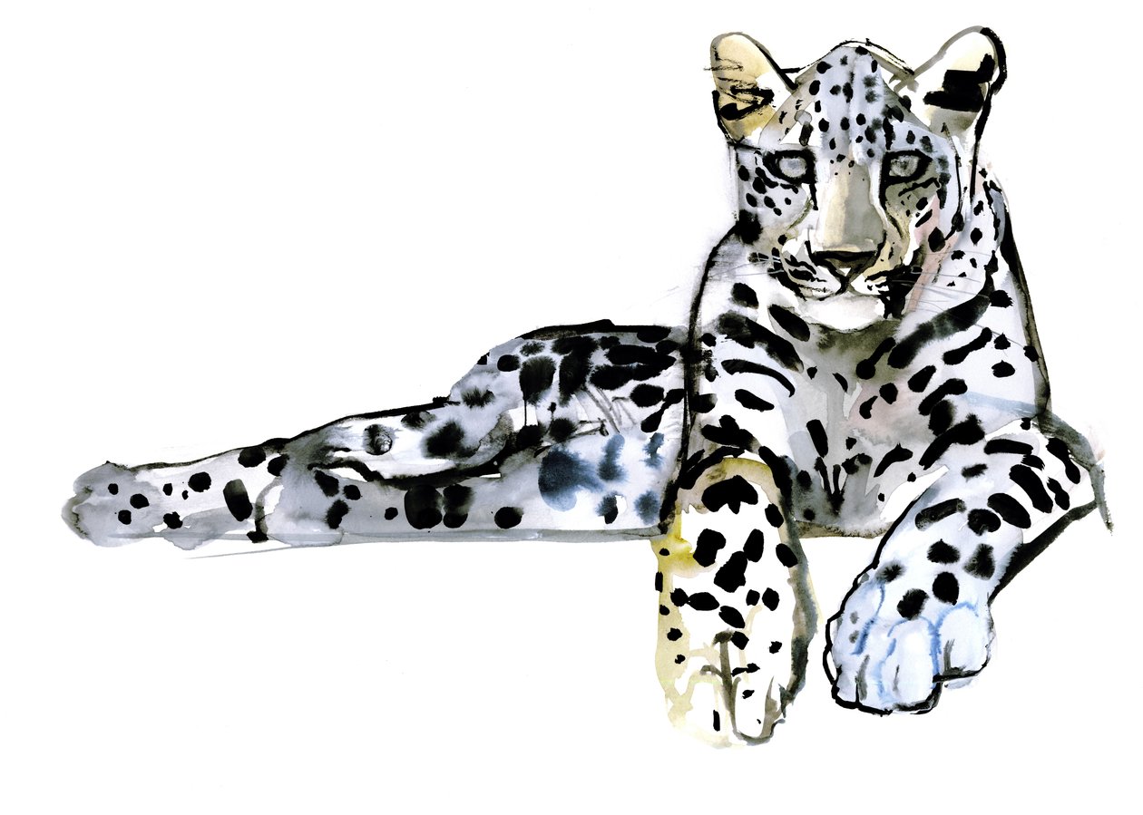 Leopardo Árabe, 2008 de Mark Adlington