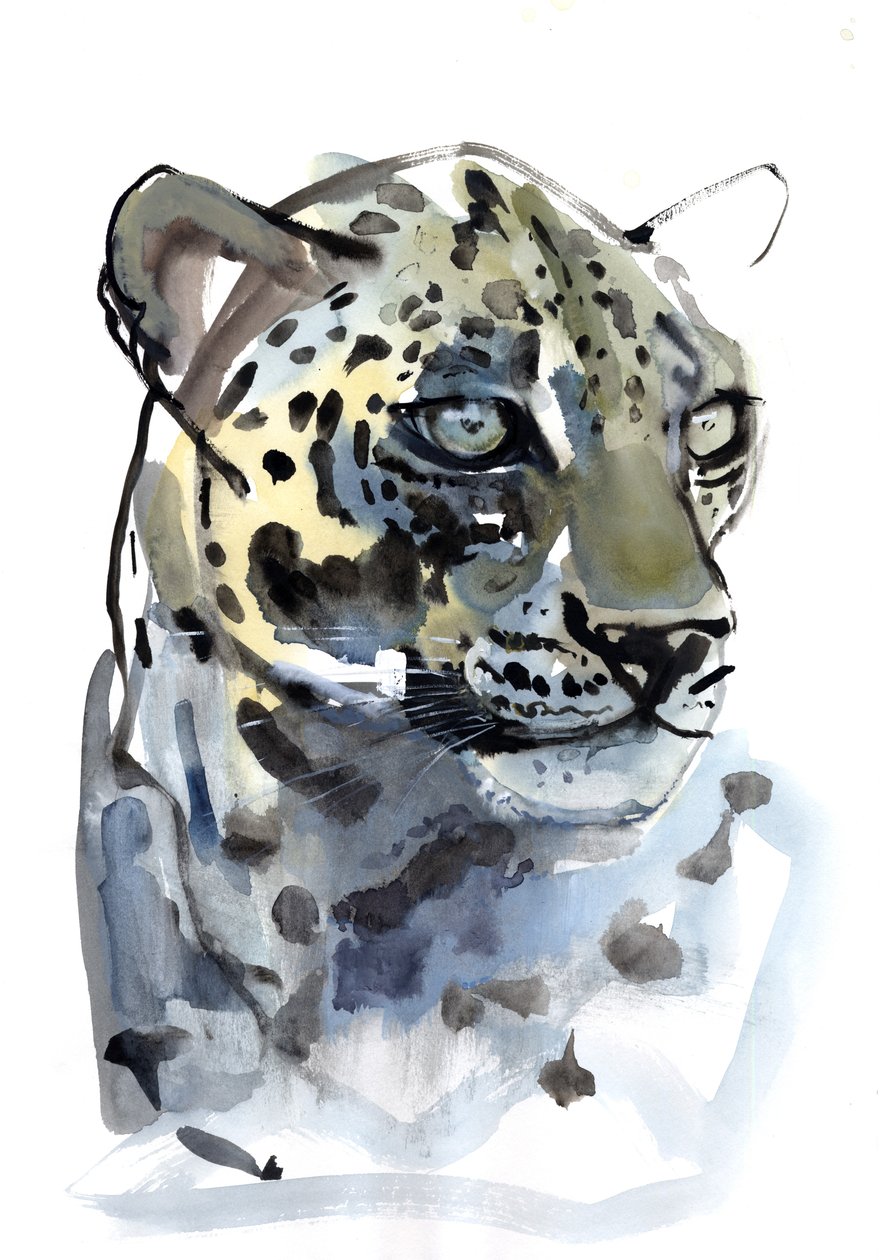 Leopardo Árabe, 2008 de Mark Adlington