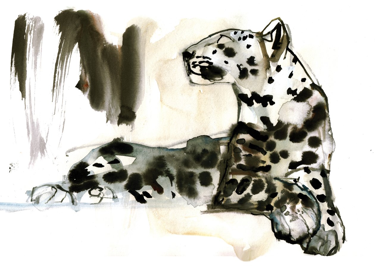 Leopardo Árabe, 2008 de Mark Adlington
