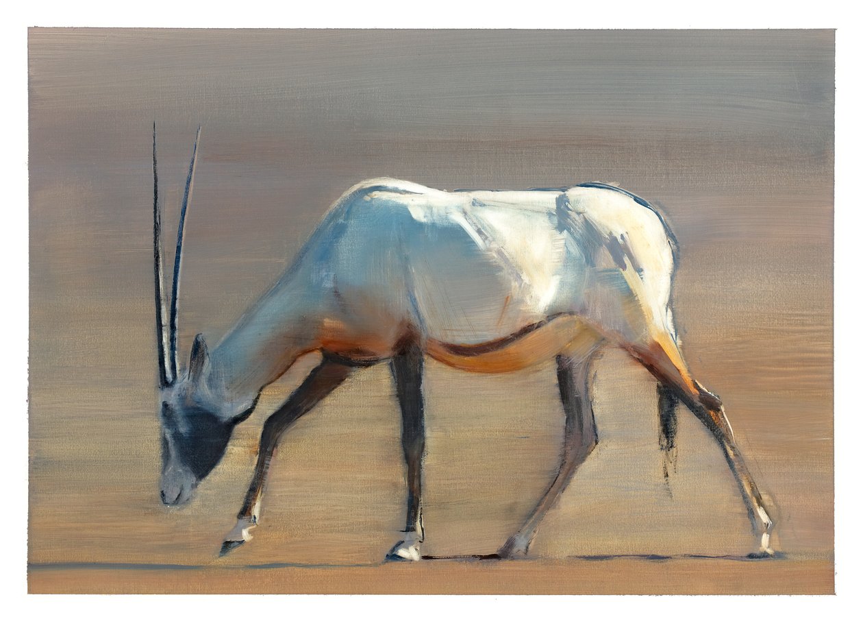 Oryx Árabe, 2010 (óleo sobre papel) de Mark Adlington