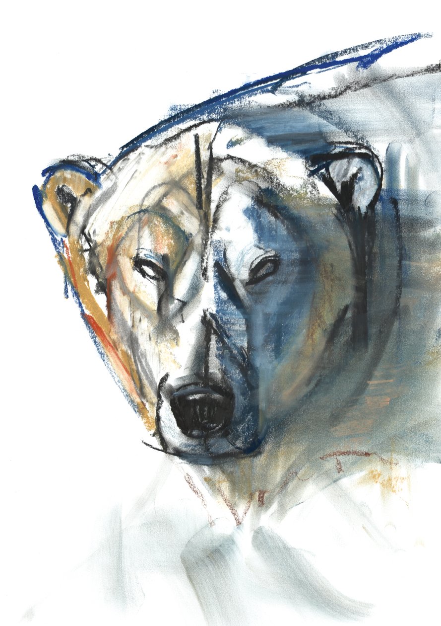 Arctic Icon, 2015, (conté e pastel sobre papel) de Mark Adlington