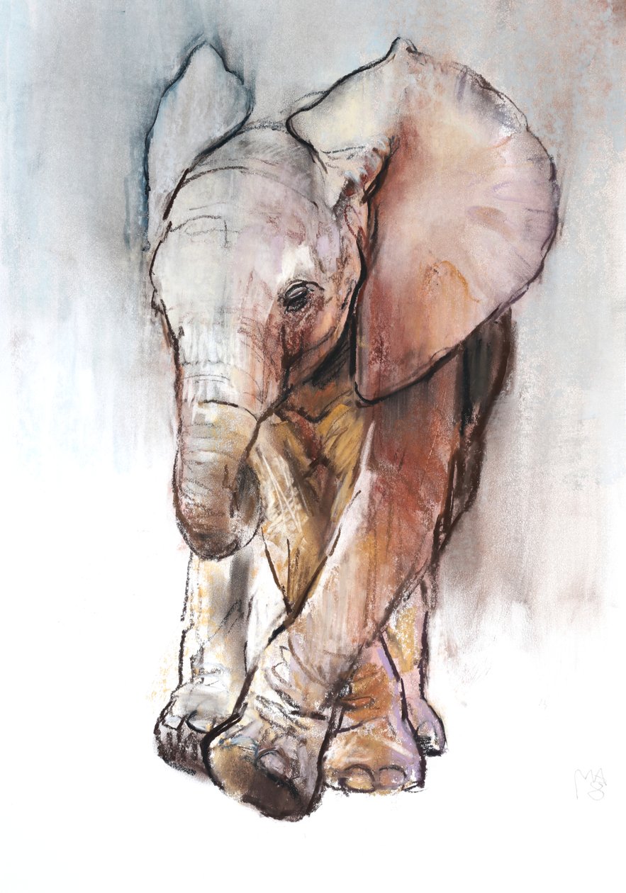Bebê Elefante 2, Loisaba, 2018 de Mark Adlington