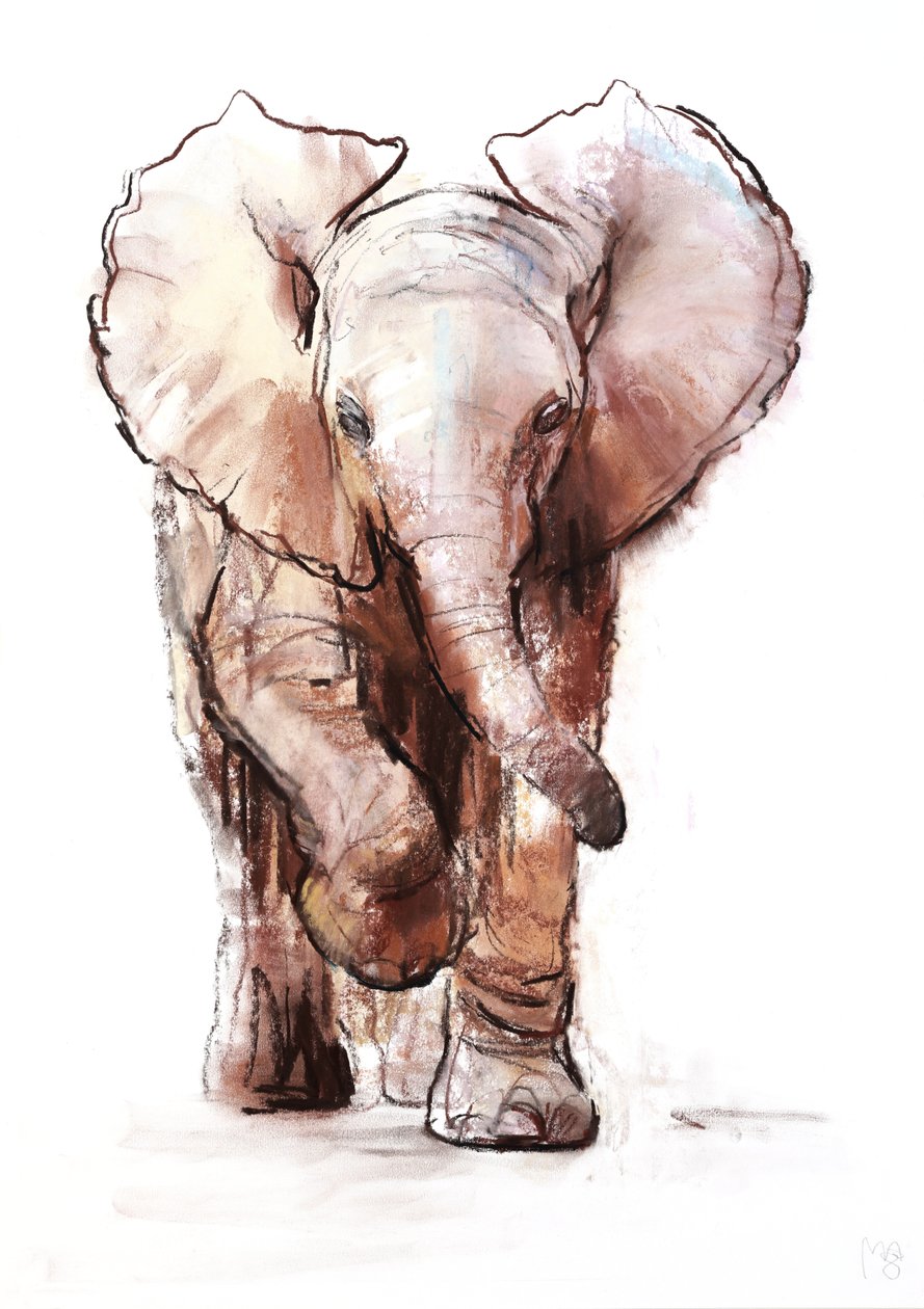 Elefante Bebê, Loisaba, 2018 de Mark Adlington