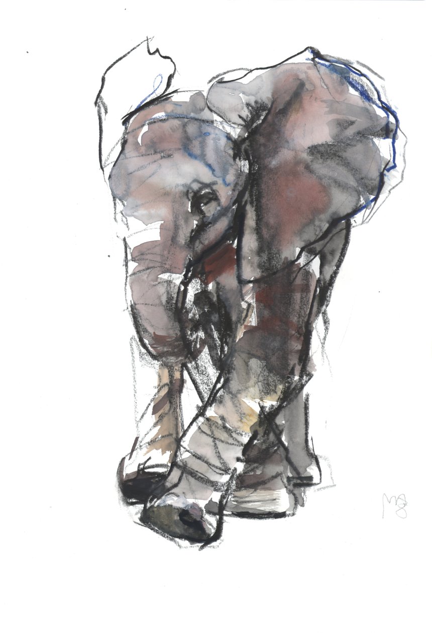 Estudo do Elefante Bebê, 2018 de Mark Adlington