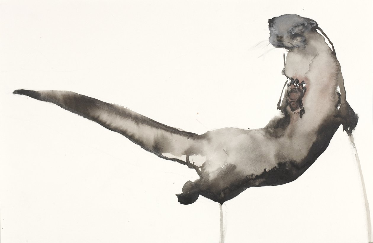 Back Awash (Lontra) (tinta e wc no papel) de Mark Adlington