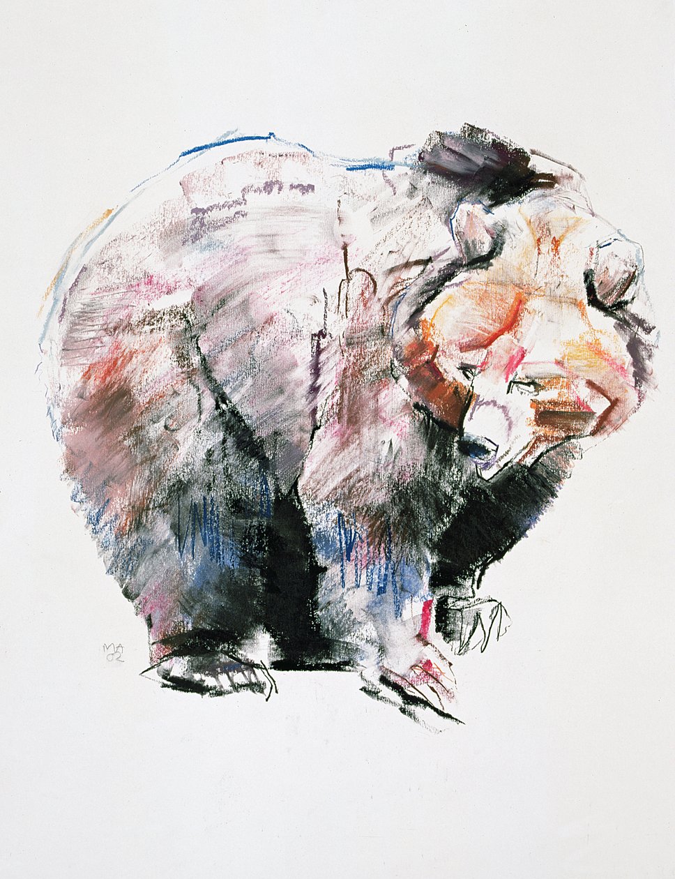 Urso (carvão e conte no papel) de Mark Adlington