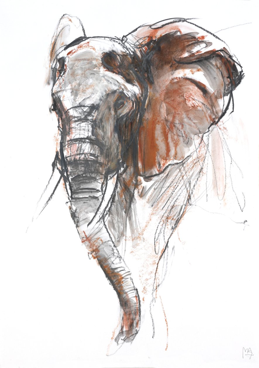 Bonito Elefante Feminino, Loisaba, 2018 de Mark Adlington