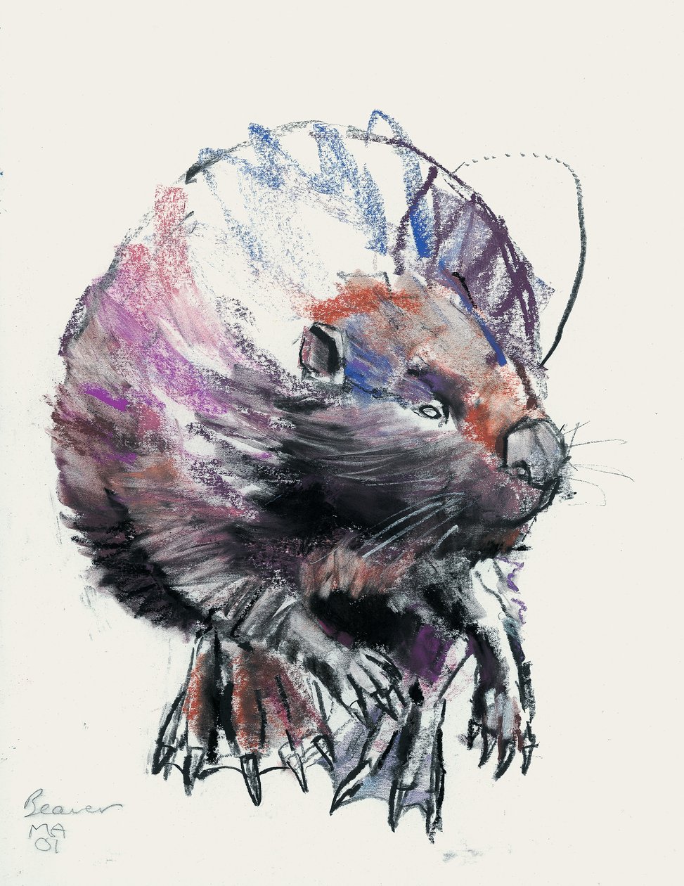 Castor, 2001 (carvão e conte no papel) de Mark Adlington