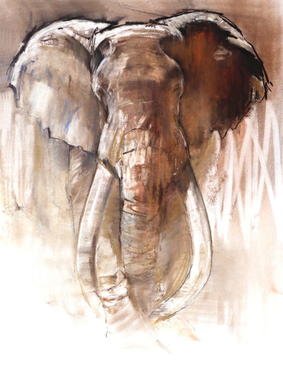 Bull Elephant, 2018 de Mark Adlington