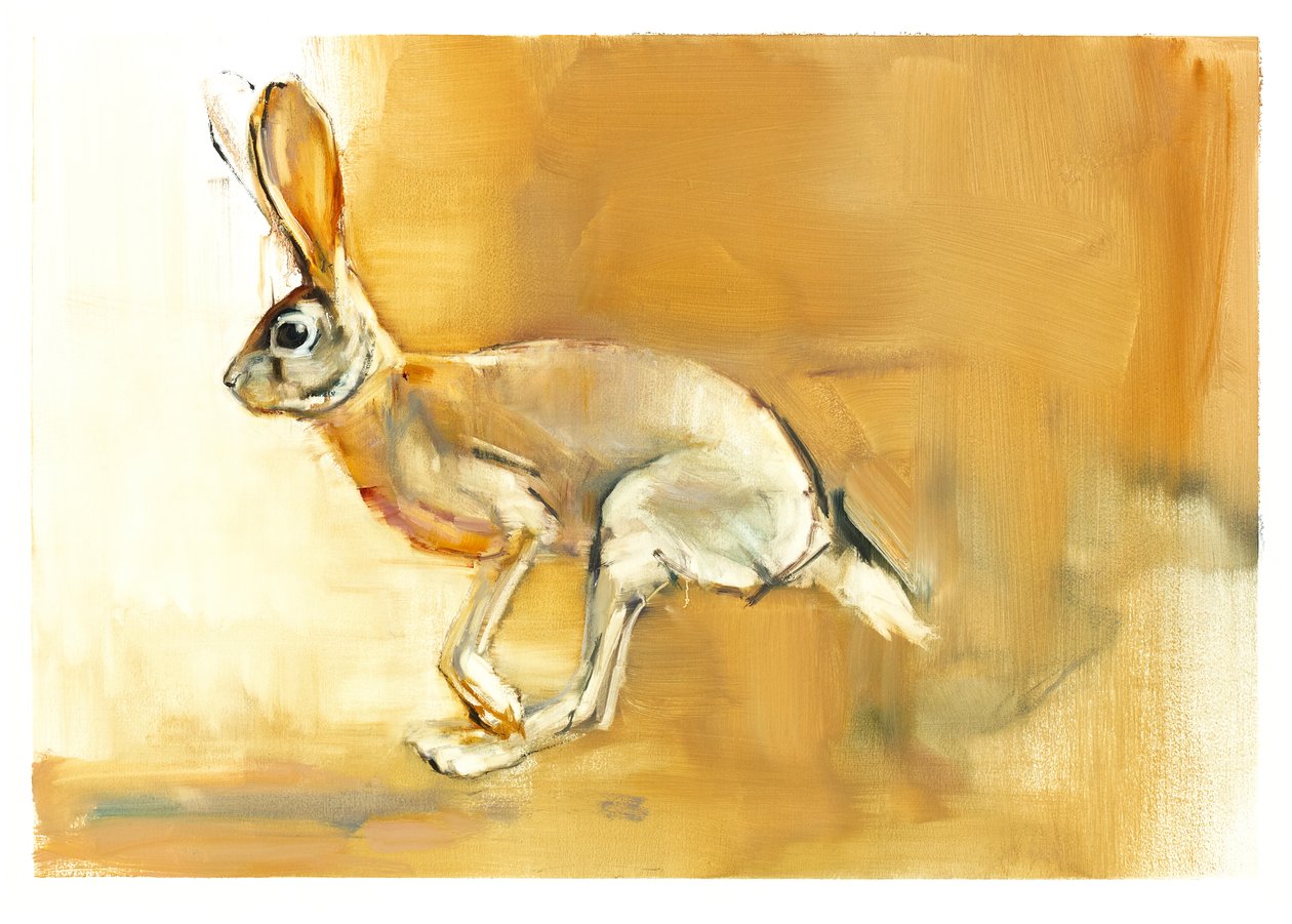 Cape Hare, 2010 (óleo sobre papel) de Mark Adlington