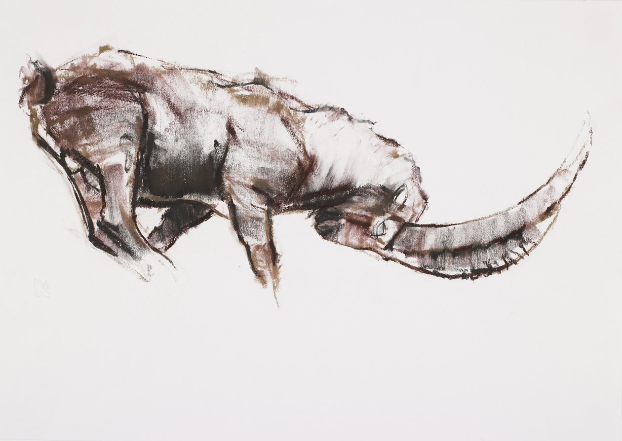 Desafio (carvão e conte no papel) de Mark Adlington