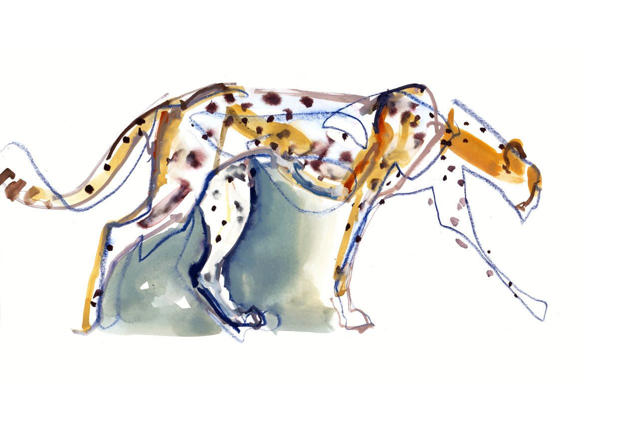 Chita, 2022 de Mark Adlington