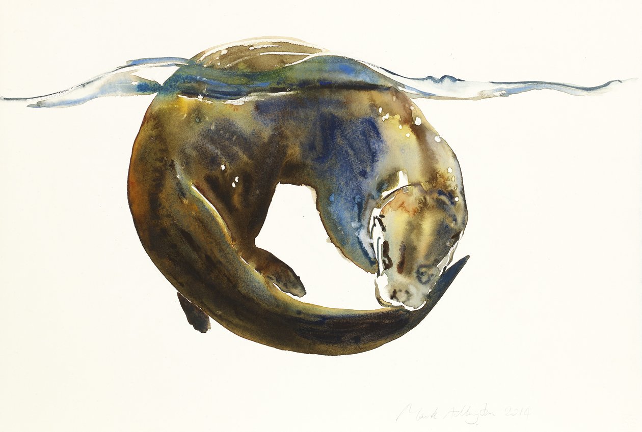 Círculo da vida, 2014, (aguarela sobre papel) de Mark Adlington