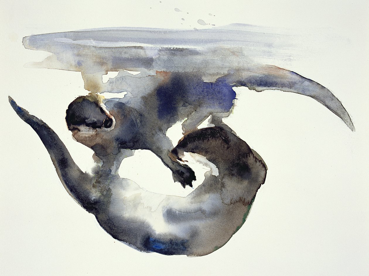 Courtship (aguarela sobre papel) de Mark Adlington