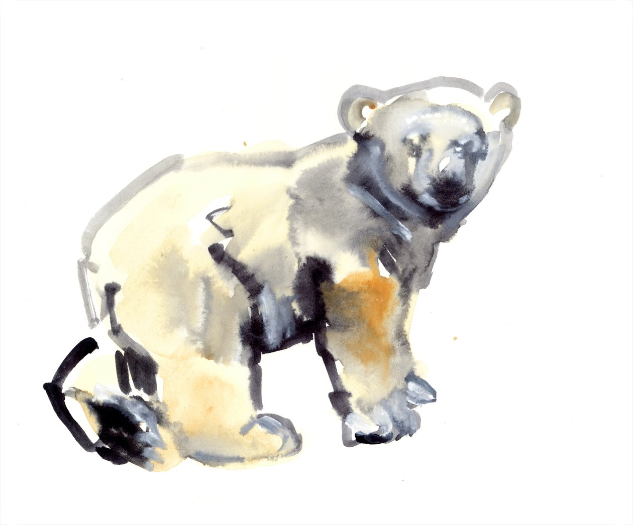 Cub, 2015, (aguarela e guache sobre papel) de Mark Adlington