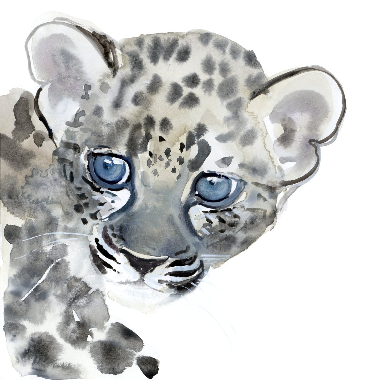 Cub, 2015, (aguarela sobre papel) de Mark Adlington