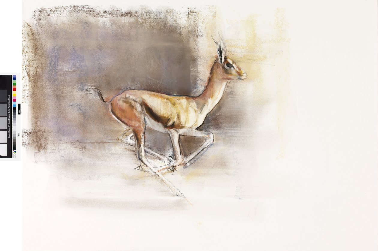 Vento do deserto (Gazelle Árabe), 2010 (óleo sobre papel) de Mark Adlington