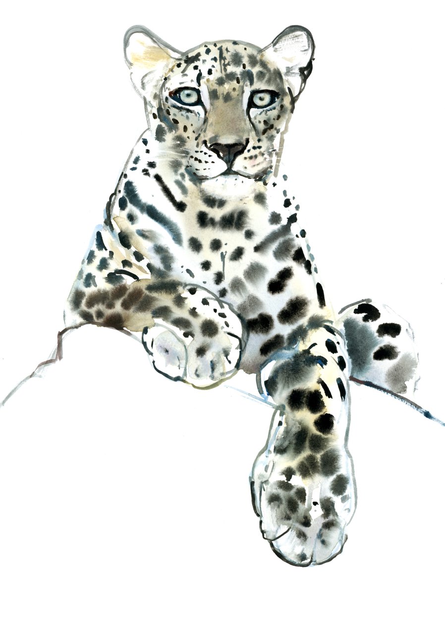 Direto (Leopardo Árabe), 2015, (aguarela e guache sobre papel) de Mark Adlington
