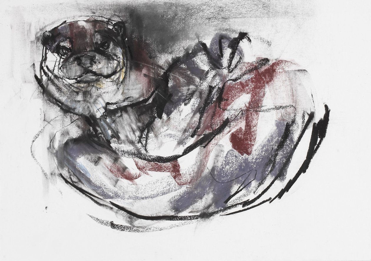 Dog Otter (carvão vegetal e conte no papel) de Mark Adlington