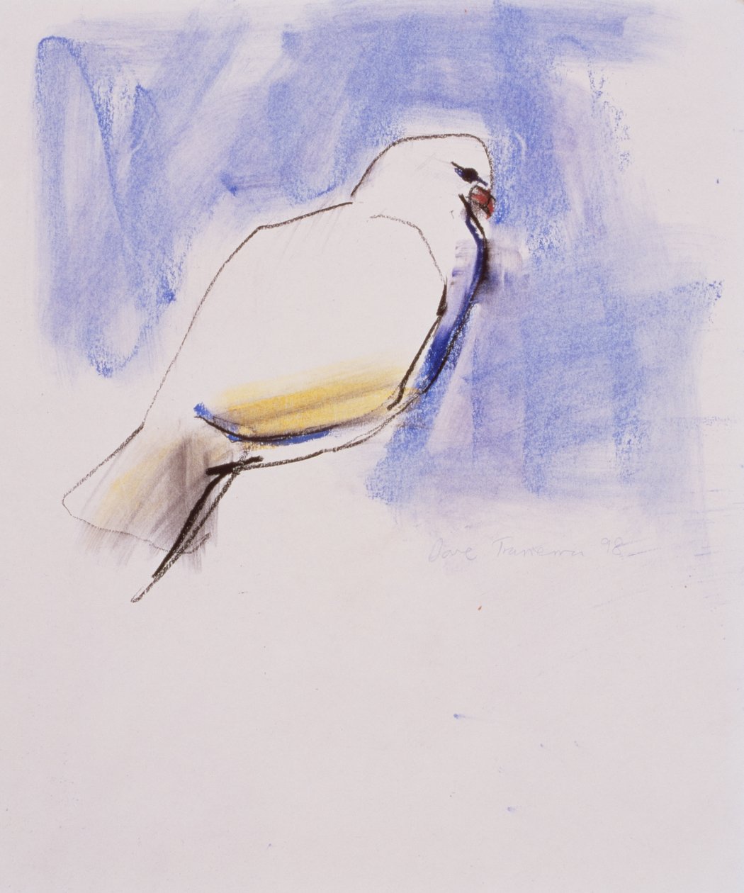 Dove, Trasierra, 1998 (grafite, carvão e conte no papel) de Mark Adlington