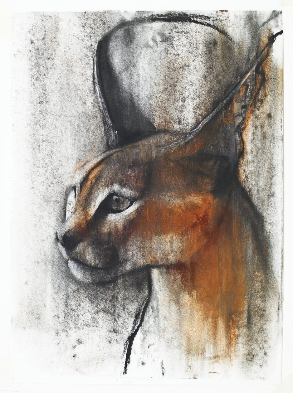 Egípcio (Caracal Árabe), 2009 (conte und charcoal on paper) de Mark Adlington