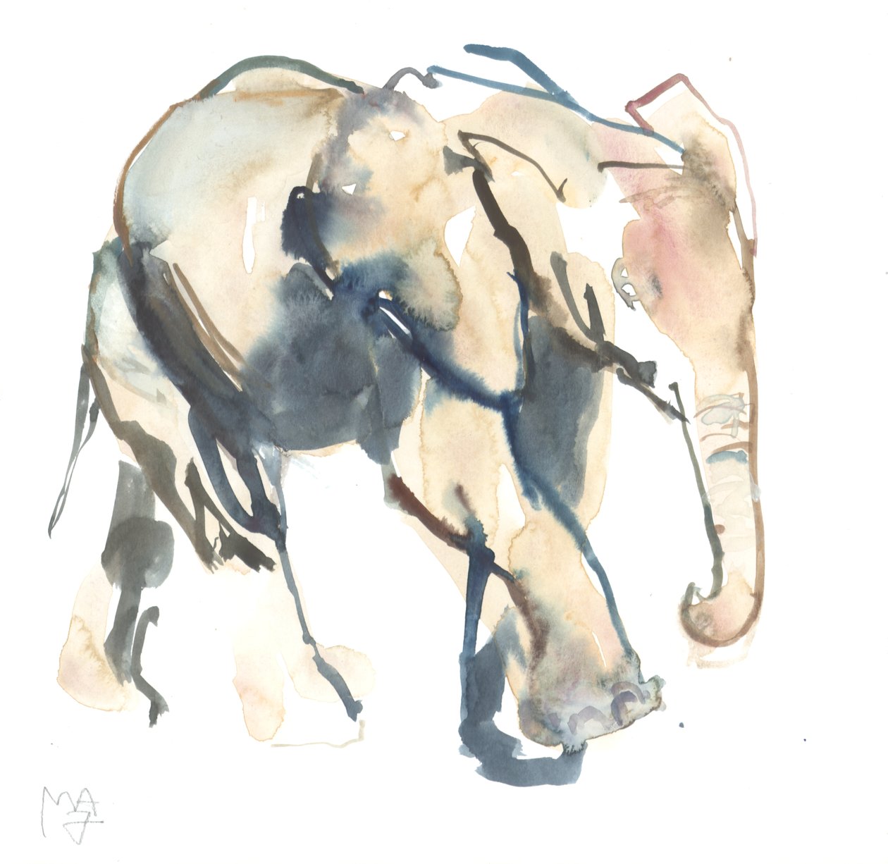 Elefante bezerro, Loisaba, 2017 (aquarela sobre papel)) de Mark Adlington