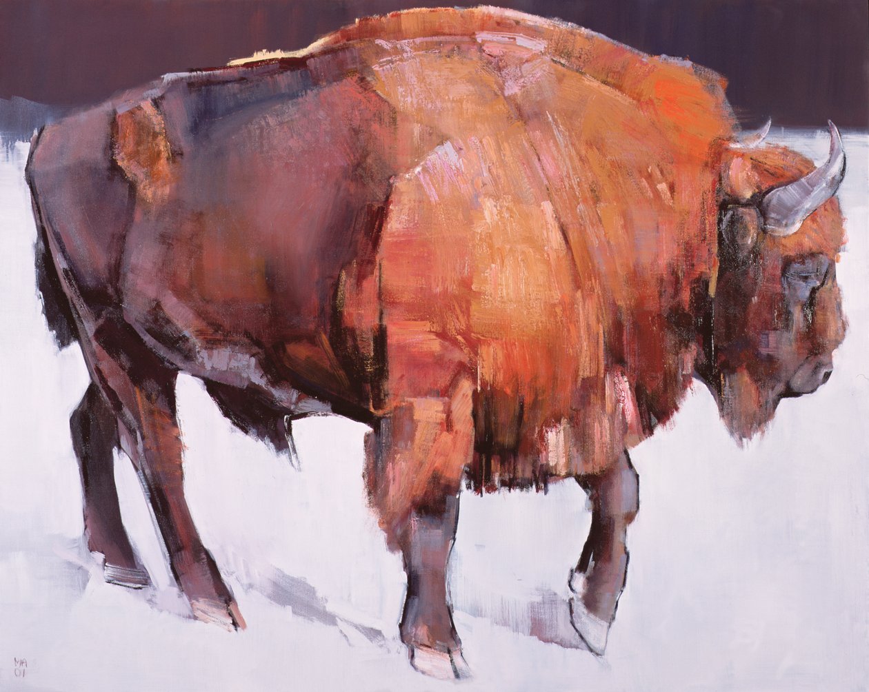Bisonte europeu de Mark Adlington