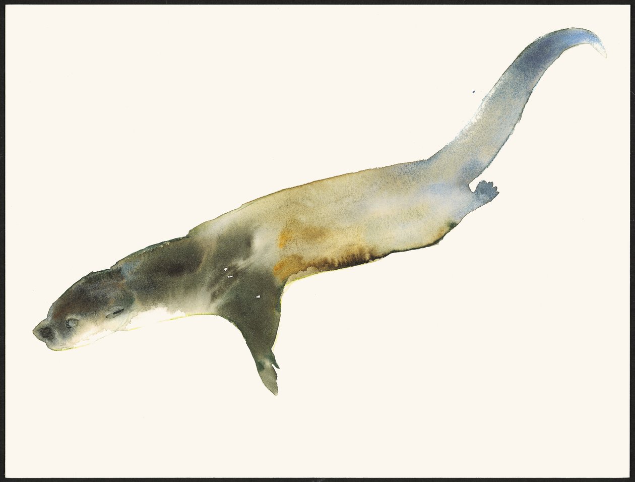 Lontra Europeia de Mark Adlington